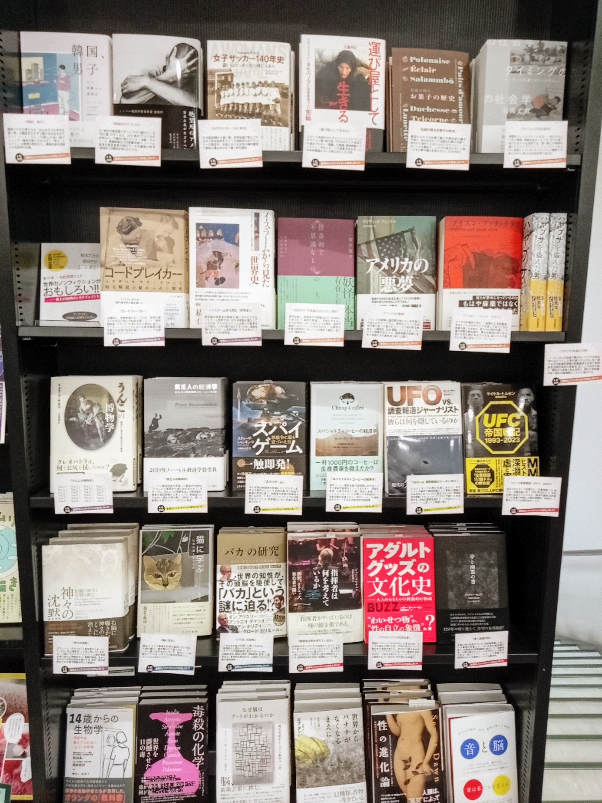 □03)【同梱不可】世界版画大系 全10巻セット/筑摩書房/パリ